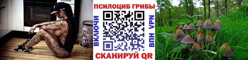 kraken ССЫЛКА  Суджа  Галлюциногенные грибы прущие грибы 
